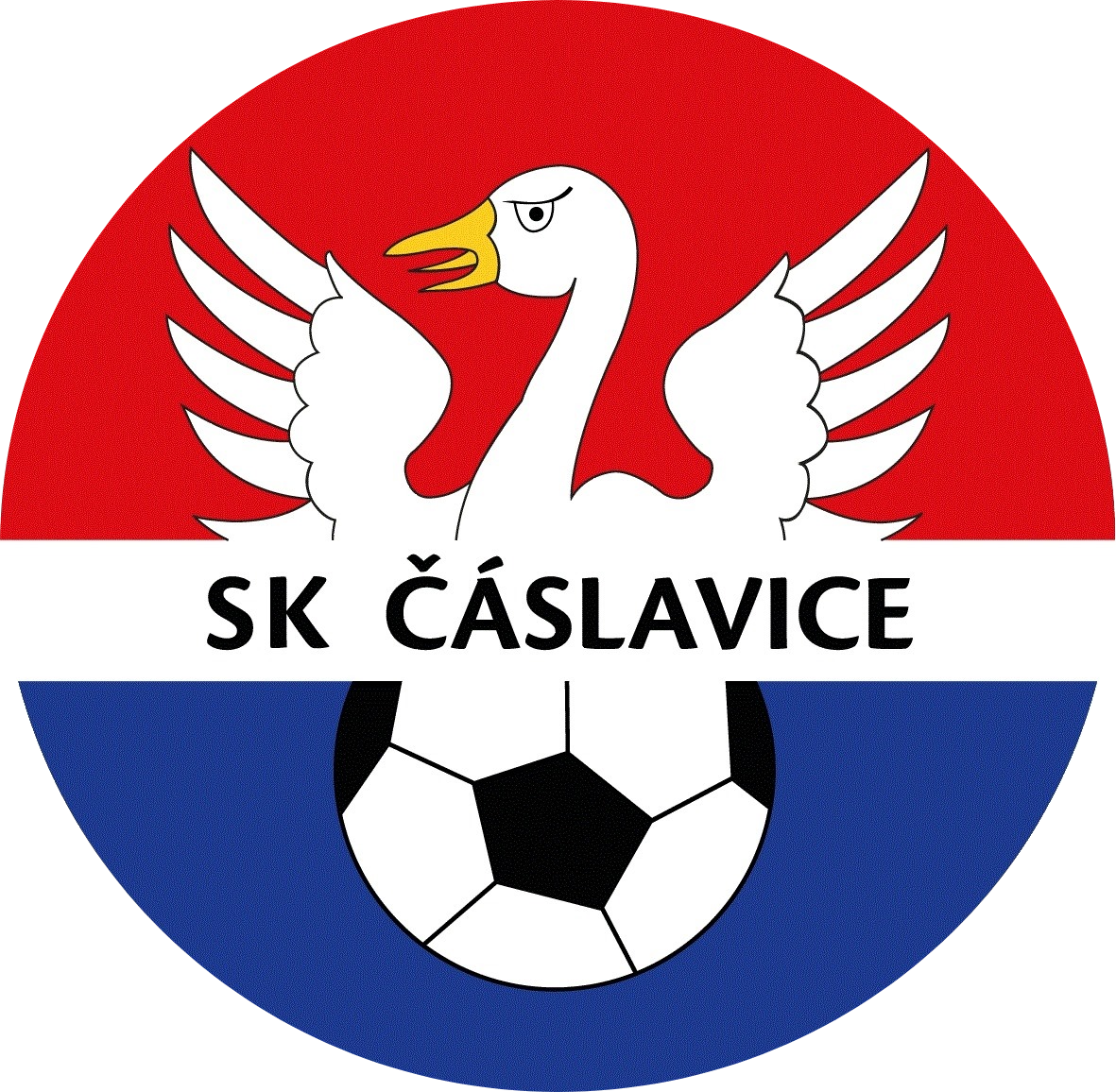 Čáslavice