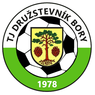 Bory